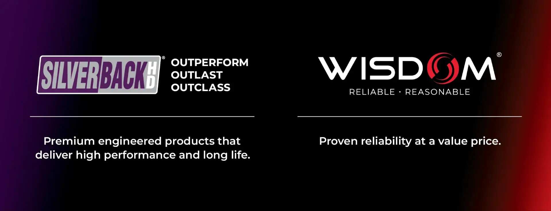 Silverback Wisdom Banner